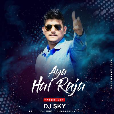 Aaya He Raja (Tapori Mix) DJ SKY